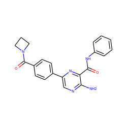 Nc1ncc(-c2ccc(C(=O)N3CCC3)cc2)nc1C(=O)Nc1ccccc1 ZINC000071317285