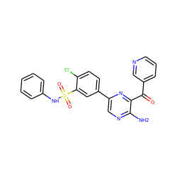 Nc1ncc(-c2ccc(Cl)c(S(=O)(=O)Nc3ccccc3)c2)nc1C(=O)c1cccnc1 ZINC000043208250