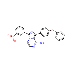 Nc1nccn2c(-c3cccc(C(=O)O)c3)nc(-c3ccc(Oc4ccccc4)cc3)c12 ZINC000096168209