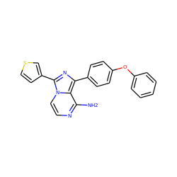 Nc1nccn2c(-c3ccsc3)nc(-c3ccc(Oc4ccccc4)cc3)c12 ZINC000096168176