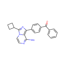 Nc1nccn2c(C3CCC3)nc(-c3ccc(C(=O)c4ccccc4)cc3)c12 ZINC000095583630