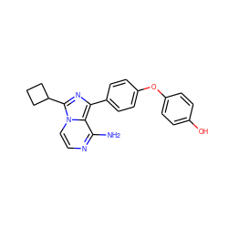 Nc1nccn2c(C3CCC3)nc(-c3ccc(Oc4ccc(O)cc4)cc3)c12 ZINC000096168237