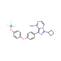 Nc1nccn2c(C3CCC3)nc(-c3ccc(Oc4ccc(OC(F)(F)F)cc4)cc3)c12 ZINC000096168225