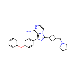 Nc1nccn2c1c(-c1ccc(Oc3ccccc3)cc1)nc2[C@H]1C[C@@H](CN2CCCC2)C1 ZINC000100619010