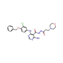 Nc1ncnc(Nc2ccc(OCc3ccccc3)c(Cl)c2)c1C(=O)NNC(=O)CCN1CCOCC1 ZINC000040899305