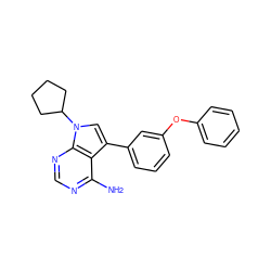 Nc1ncnc2c1c(-c1cccc(Oc3ccccc3)c1)cn2C1CCCC1 ZINC000026266757