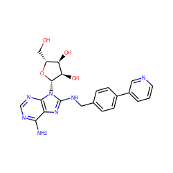 Nc1ncnc2c1nc(NCc1ccc(-c3cccnc3)cc1)n2[C@@H]1O[C@H](CO)[C@@H](O)[C@H]1O ZINC000144518800