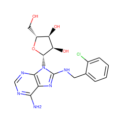 Nc1ncnc2c1nc(NCc1ccccc1Cl)n2[C@@H]1O[C@H](CO)[C@@H](O)[C@H]1O ZINC000299861233