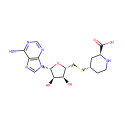 Nc1ncnc2c1ncn2[C@@H]1O[C@H](CS[C@H]2CCN[C@H](C(=O)O)C2)[C@@H](O)[C@H]1O ZINC000062178658