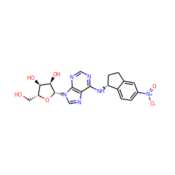 O=[N+]([O-])c1ccc2c(c1)CC[C@H]2Nc1ncnc2c1ncn2[C@@H]1O[C@H](CO)[C@@H](O)[C@H]1O ZINC000013649471