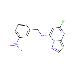 O=[N+]([O-])c1cccc(CNc2cc(Cl)nc3ccnn23)c1 ZINC000040895514