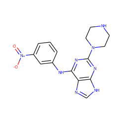 O=[N+]([O-])c1cccc(Nc2nc(N3CCNCC3)nc3[nH]cnc23)c1 ZINC000053243525