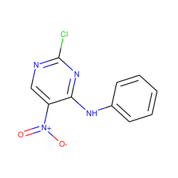 O=[N+]([O-])c1cnc(Cl)nc1Nc1ccccc1 ZINC000146083489