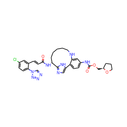 O=C(/C=C/c1cc(Cl)ccc1-n1cnnn1)N[C@H]1CCCCCNc2cc(NC(=O)OC[C@H]3CCCO3)ccc2-c2cnc1[nH]2 ZINC000230573995