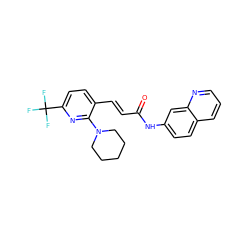 O=C(/C=C/c1ccc(C(F)(F)F)nc1N1CCCCC1)Nc1ccc2cccnc2c1 ZINC000028477611