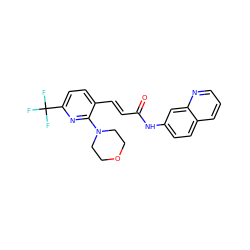 O=C(/C=C/c1ccc(C(F)(F)F)nc1N1CCOCC1)Nc1ccc2cccnc2c1 ZINC000028520530