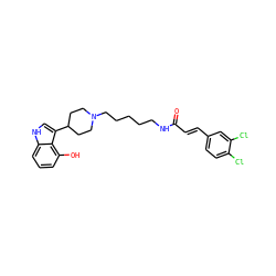 O=C(/C=C/c1ccc(Cl)c(Cl)c1)NCCCCCN1CCC(c2c[nH]c3cccc(O)c23)CC1 ZINC000029482694