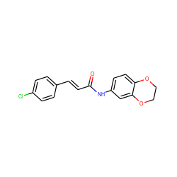 O=C(/C=C/c1ccc(Cl)cc1)Nc1ccc2c(c1)OCCO2 ZINC000001152696