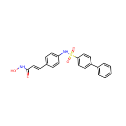 O=C(/C=C/c1ccc(NS(=O)(=O)c2ccc(-c3ccccc3)cc2)cc1)NO ZINC000003873249