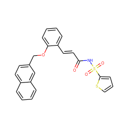 O=C(/C=C/c1ccccc1OCc1ccc2ccccc2c1)NS(=O)(=O)c1cccs1 ZINC000095564175