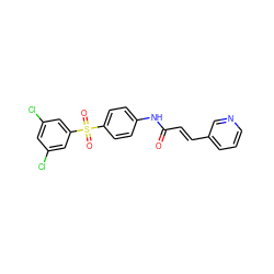 O=C(/C=C/c1cccnc1)Nc1ccc(S(=O)(=O)c2cc(Cl)cc(Cl)c2)cc1 ZINC000142228775