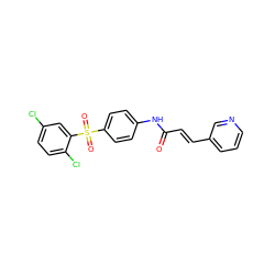 O=C(/C=C/c1cccnc1)Nc1ccc(S(=O)(=O)c2cc(Cl)ccc2Cl)cc1 ZINC000142544836