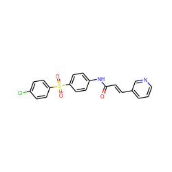 O=C(/C=C/c1cccnc1)Nc1ccc(S(=O)(=O)c2ccc(Cl)cc2)cc1 ZINC000142494605