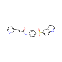 O=C(/C=C/c1cccnc1)Nc1ccc(S(=O)(=O)c2ccc3ncccc3c2)cc1 ZINC000142288437