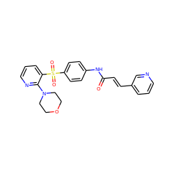 O=C(/C=C/c1cccnc1)Nc1ccc(S(=O)(=O)c2cccnc2N2CCOCC2)cc1 ZINC000205368132