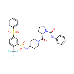 O=C([C@@H]1CCCN1C(=O)Nc1ccccc1)N1CCC(NS(=O)(=O)c2cc(S(=O)(=O)c3ccccc3)ccc2C(F)(F)F)CC1 ZINC000049841276