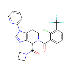 O=C([C@@H]1c2ncn(-c3ccccn3)c2CCN1C(=O)c1cccc(C(F)(F)F)c1Cl)N1CCC1 ZINC000218370392