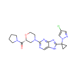 O=C([C@H]1CN(c2ncc3[nH]c(C4(n5cc(Cl)cn5)CC4)nc3n2)CCO1)N1CCCC1 ZINC000221067191