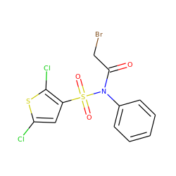 O=C(CBr)N(c1ccccc1)S(=O)(=O)c1cc(Cl)sc1Cl ZINC000053229868