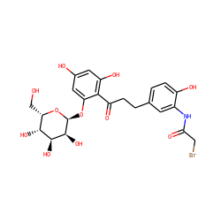 O=C(CBr)Nc1cc(CCC(=O)c2c(O)cc(O)cc2O[C@@H]2O[C@@H](CO)[C@@H](O)[C@H](O)[C@@H]2O)ccc1O ZINC000029407307