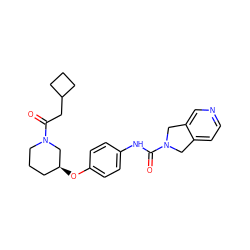 O=C(CC1CCC1)N1CCC[C@H](Oc2ccc(NC(=O)N3Cc4ccncc4C3)cc2)C1 ZINC000167073753