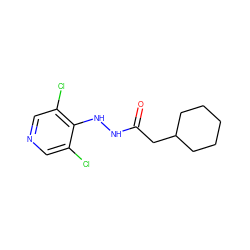 O=C(CC1CCCCC1)NNc1c(Cl)cncc1Cl ZINC000084671132