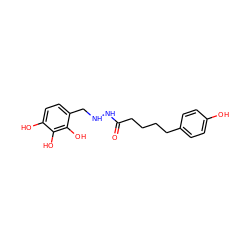 O=C(CCCCc1ccc(O)cc1)NNCc1ccc(O)c(O)c1O ZINC001772585732