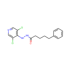 O=C(CCCCc1ccccc1)NNc1c(Cl)cncc1Cl ZINC000084654023