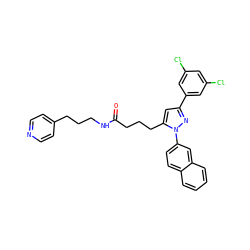 O=C(CCCc1cc(-c2cc(Cl)cc(Cl)c2)nn1-c1ccc2ccccc2c1)NCCCc1ccncc1 ZINC000028887175