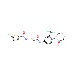 O=C(CCNC(=O)c1ccc(Cl)s1)Nc1ccc(N2CCOCC2=O)c(C(F)(F)F)c1 ZINC001772649293