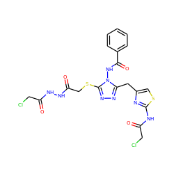 O=C(CCl)NNC(=O)CSc1nnc(Cc2csc(NC(=O)CCl)n2)n1NC(=O)c1ccccc1 ZINC000028712159