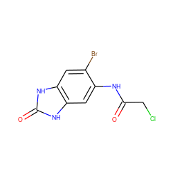 O=C(CCl)Nc1cc2[nH]c(=O)[nH]c2cc1Br ZINC000013598291