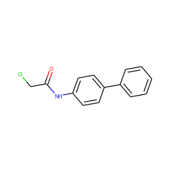 O=C(CCl)Nc1ccc(-c2ccccc2)cc1 ZINC000002776316