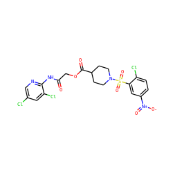 O=C(COC(=O)C1CCN(S(=O)(=O)c2cc([N+](=O)[O-])ccc2Cl)CC1)Nc1ncc(Cl)cc1Cl ZINC000008672554