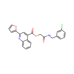 O=C(COC(=O)c1cc(-c2ccco2)nc2ccccc12)NCc1cccc(Cl)c1 ZINC000009683242