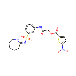O=C(COC(=O)c1ccc([N+](=O)[O-])s1)Nc1cccc(S(=O)(=O)/N=C2/CCCCCN2)c1 ZINC000013138803