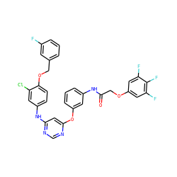 O=C(COc1cc(F)c(F)c(F)c1)Nc1cccc(Oc2cc(Nc3ccc(OCc4cccc(F)c4)c(Cl)c3)ncn2)c1 ZINC000082152612