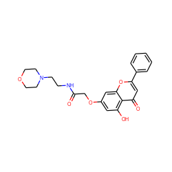 O=C(COc1cc(O)c2c(=O)cc(-c3ccccc3)oc2c1)NCCN1CCOCC1 ZINC000096273530