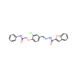 O=C(COc1ccc(/C=N/NC(=O)c2cc3ccccc3o2)cc1Cl)Nc1ccccc1 ZINC000000681277