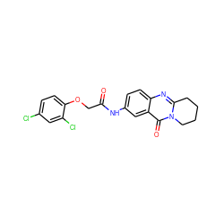 O=C(COc1ccc(Cl)cc1Cl)Nc1ccc2nc3n(c(=O)c2c1)CCCC3 ZINC000003958748